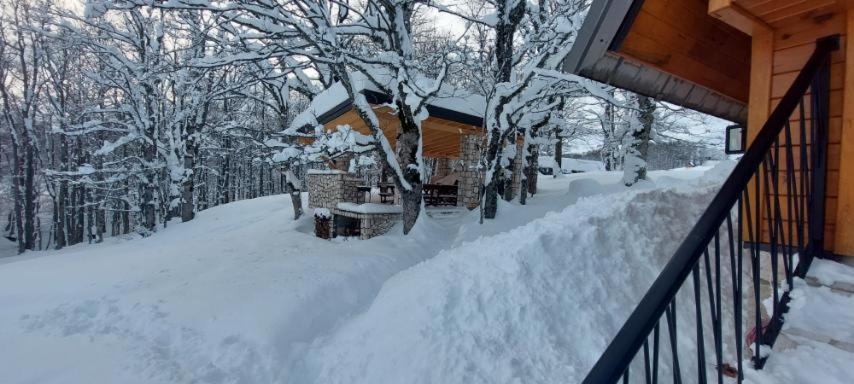 Vila Sun Forest Zabljak  Ngoại thất bức ảnh