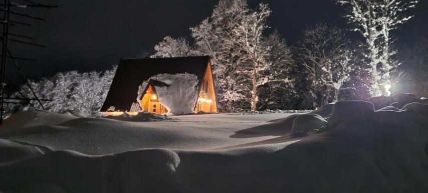 Vila Sun Forest Zabljak  Ngoại thất bức ảnh