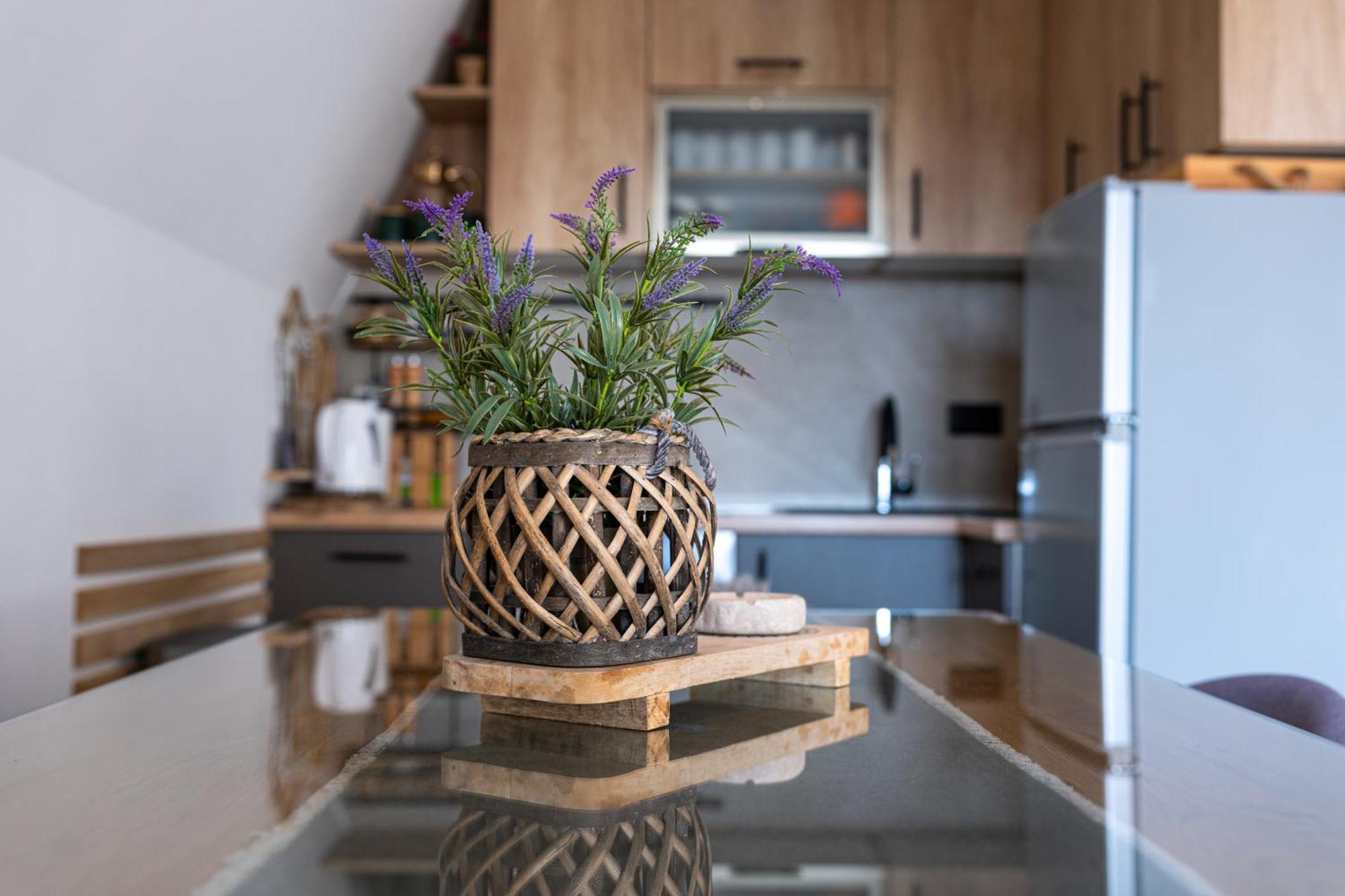 Vila Sun Forest Zabljak  Ngoại thất bức ảnh